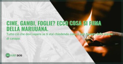 cosa si fuma della marijuana