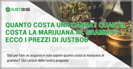 Quanto costa una canna? Quanto costa la marijuana al grammo?