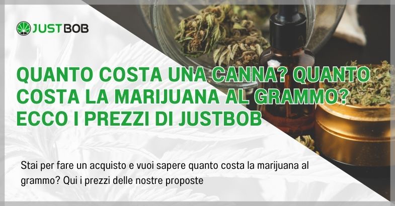 Quanto costa una canna? Quanto costa la marijuana al grammo?
