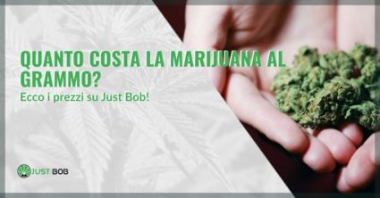 Quanto costa la marijuana al grammo on-line