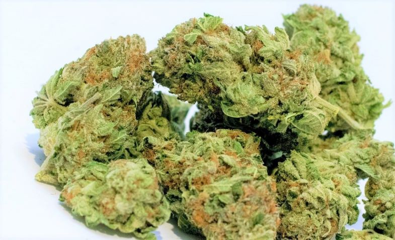Quanto costa la marijuana al grammo su Justbob.it