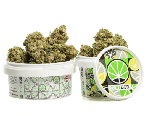 Fiori di cannabis light di alta qualità in contenitore sigillato per freschezza garantita