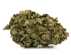 cbg Zkittles cannabis light