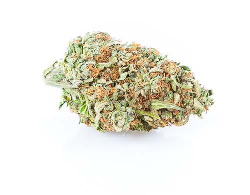 Cima di cannabis light zkittles cbg