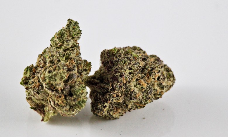 migliori varietà di erba legale purple gg 4