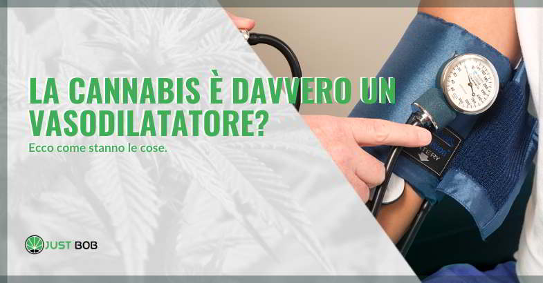 Cannabis vasodilatatore.