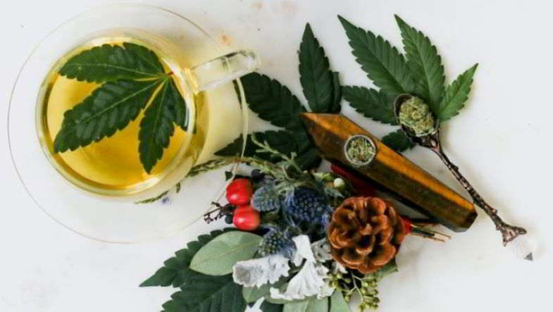 Alcol vs cannabis medica.