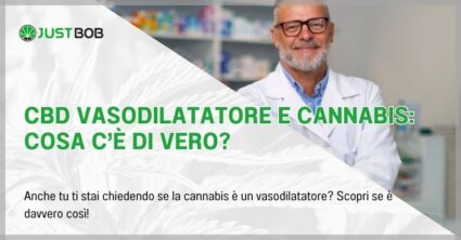 CBD vasodilatatore e cannabis: cosa c’è di vero?