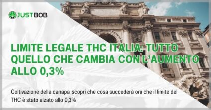 Limite legale THC Italia: tutto quello che cambia con l’aumento allo 0,3%