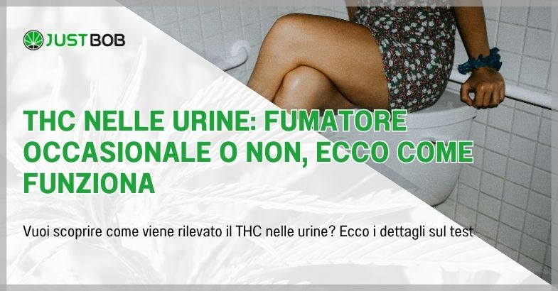THC nelle urine: fumatore occasionale o non, ecco come funziona