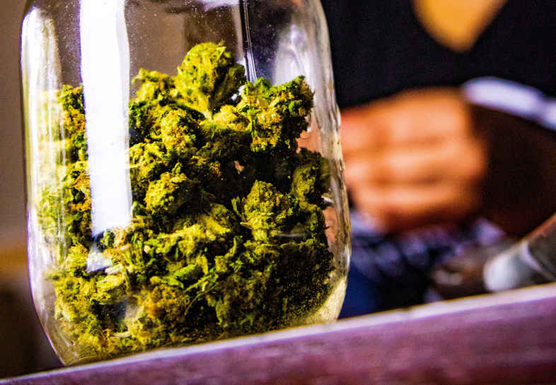 Marijuana con thc per uso terapeutico