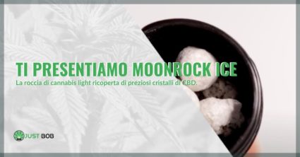 Moonrock ice CBD informazioni