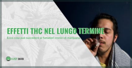 effetti thc lungo termine