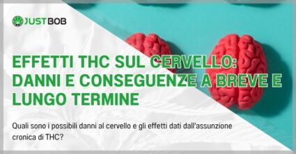 Effetti THC sul cervello: danni e conseguenze