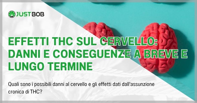 Effetti THC sul cervello: danni e conseguenze