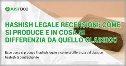 Hashish legale recensioni: come si produce e in cosa si differenzia