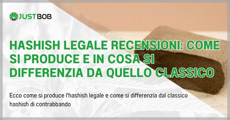 Hashish legale recensioni: come si produce e in cosa si differenzia