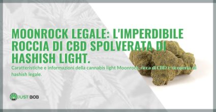 marijuana Moonrock legale caratteristiche