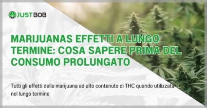 Marijuanas effetti a lungo termine: cosa sapere