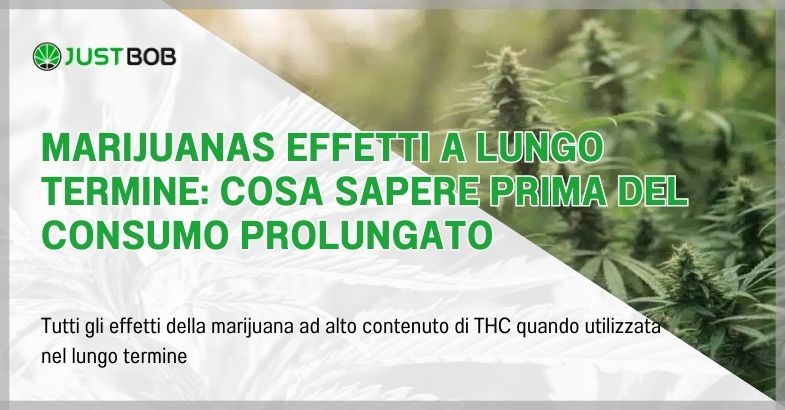 Marijuanas effetti a lungo termine: cosa sapere