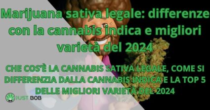 Marijuana sativa legale: differenze con la cannabis indica e migliori varietà del 2024