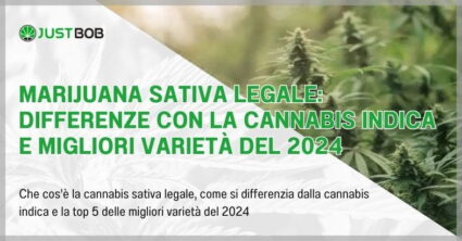 Marijuana sativa legale: differenze con la cannabis indica