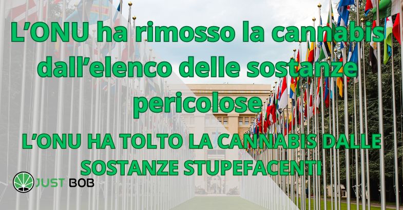 L'ONU ha rimosso la cannabis dall'elenco delle sostanze pericolose