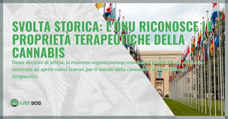 Svolta storica: l'ONU riconosce le proprietà terapeutiche della cannabis