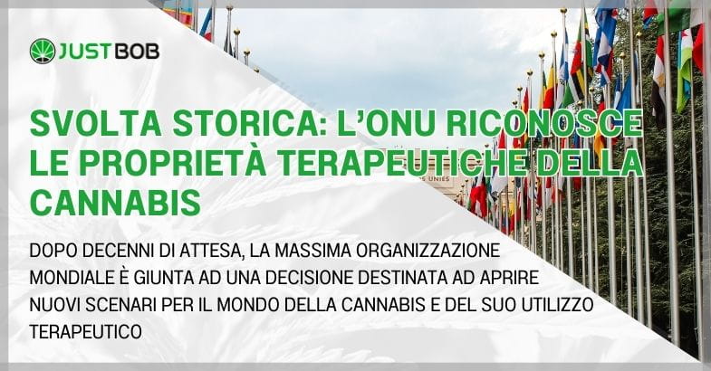 Svolta storica: l’ONU riconosce le proprietà terapeutiche della cannabis
