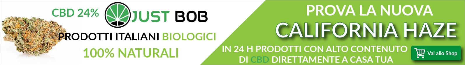 Dalle Analisi Del Sangue Si Vede Se Fumi Erba