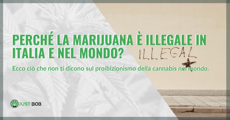 Perché la marijuana è illegale