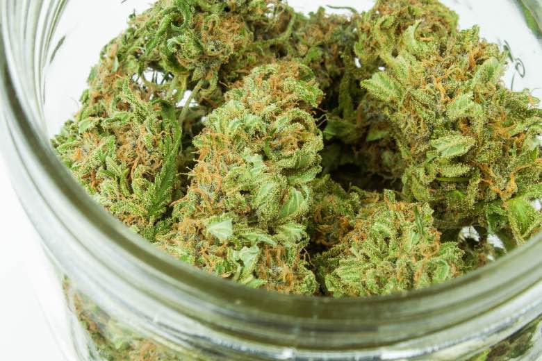 cannabis flos ovvero fiori di marijuana medica essiccati