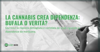 la cannabis crea dipendenza