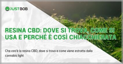 Resina CBD: dove si trova