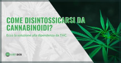 Come disintossicarsi da cannabinoidi