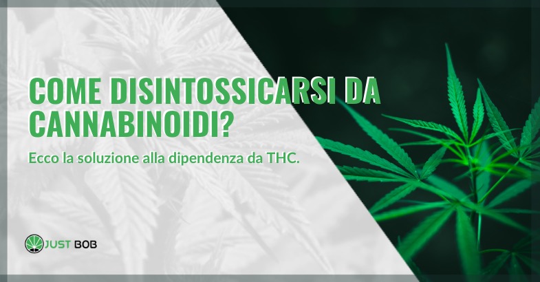 Come disintossicarsi da cannabinoidi