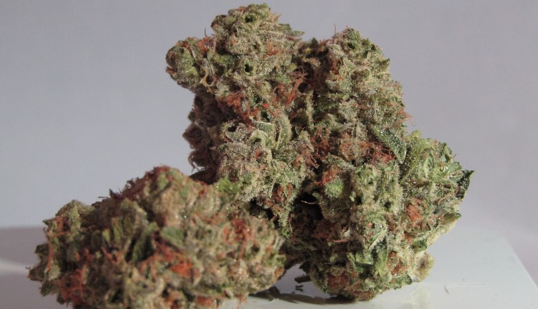 cannabis ad alto contenuto di CBN