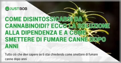 Come disintossicarsi da cannabinoidi?