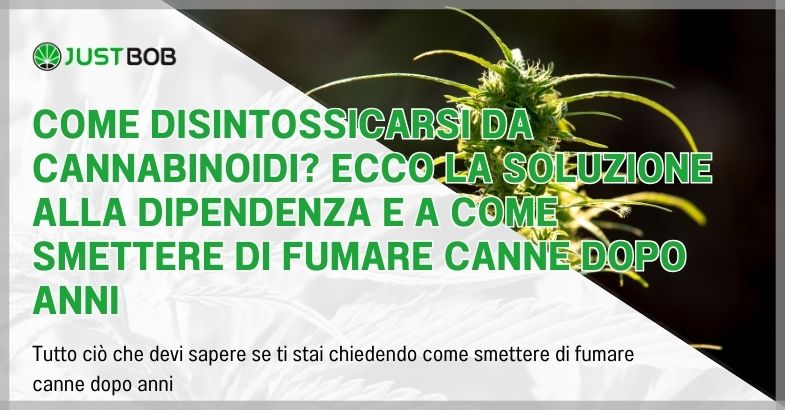 Come disintossicarsi da cannabinoidi?
