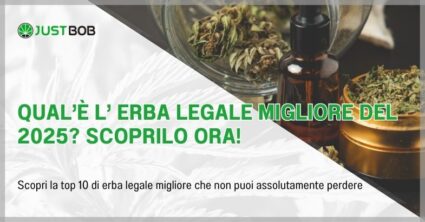 Qual'è l’ erba legale migliore del 2025?