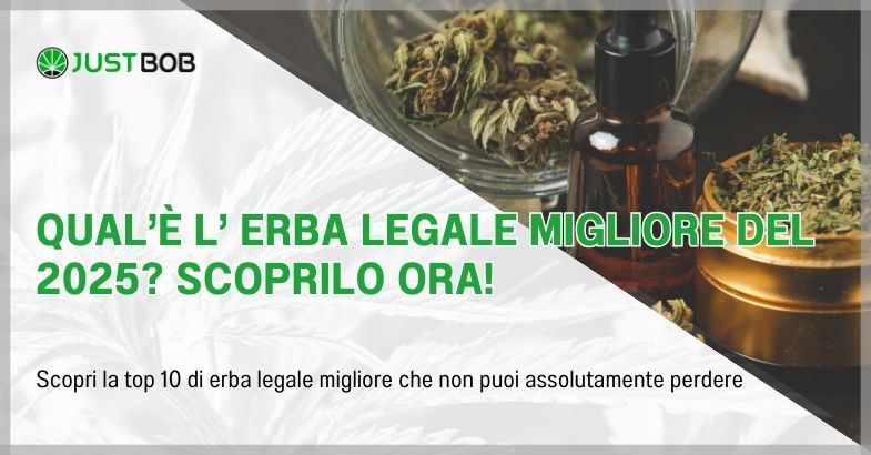 Qual'è l’ erba legale migliore del 2025?