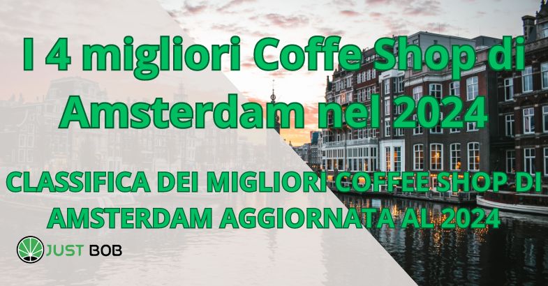 I 4 migliori Coffe Shop di Amsterdam nel 2024