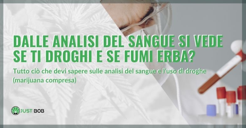 Dalle analisi del sangue si vede se ti droghi