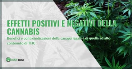 Effetti positivi e negativi della cannabis