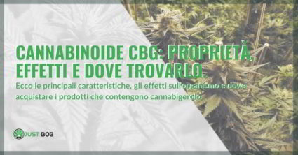 Proprietà ed effetti del cannabinoide CBG.