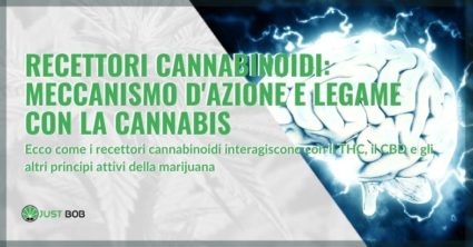 Recettori cannabinoidi