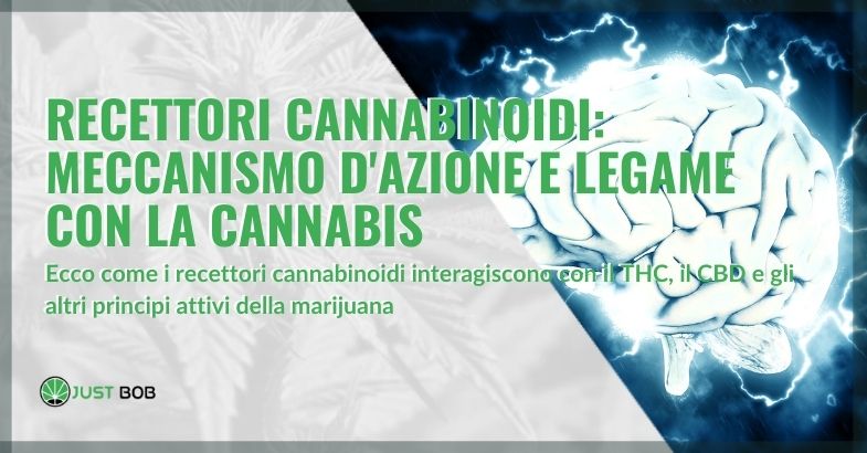 Recettori cannabinoidi