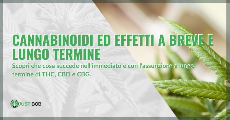 Cannabinoidi effetti a lungo termine e a breve termine.