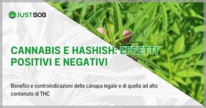 Cannabis e Hashish: Effetti positivi e negativi