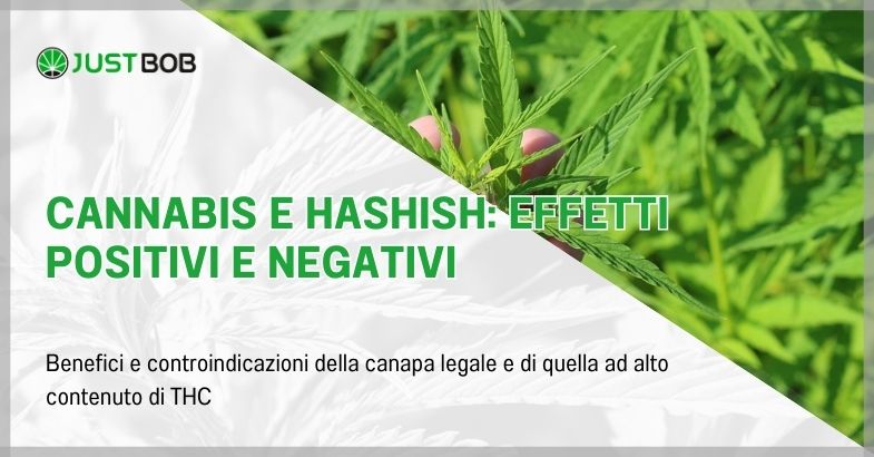 Cannabis e Hashish: Effetti positivi e negativi